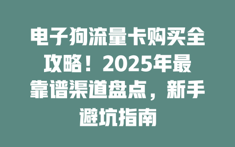 电子狗流量卡购买全攻略！2025年最靠谱渠道盘点，新手避坑指南