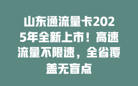 山东通流量卡2025年全新上市！高速流量不限速，全省覆盖无盲点