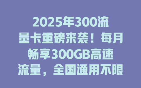 2025年300流量卡重磅来袭！每月畅享300GB高速流量，全国通用不限速