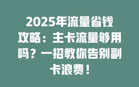 2025年流量省钱攻略：主卡流量够用吗？一招教你告别副卡浪费！