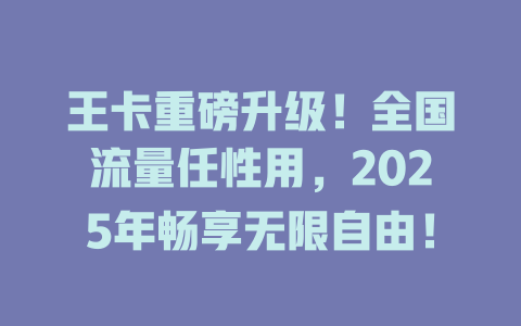 王卡重磅升级！全国流量任性用，2025年畅享无限自由！