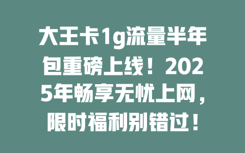 大王卡1g流量半年包重磅上线！2025年畅享无忧上网，限时福利别错过！