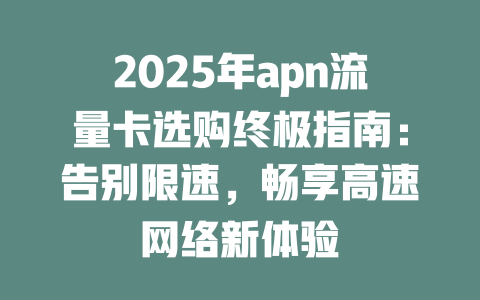 2025年apn流量卡选购终极指南：告别限速，畅享高速网络新体验
