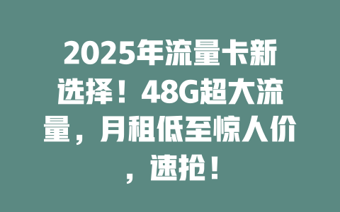 2025年流量卡新选择！48G超大流量，月租低至惊人价，速抢！