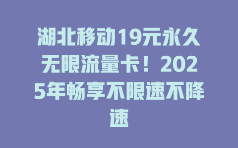 湖北移动19元永久无限流量卡！2025年畅享不限速不降速