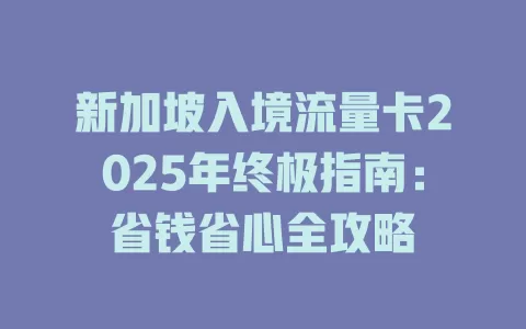 新加坡入境流量卡2025年终极指南：省钱省心全攻略