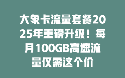 大象卡流量套餐2025年重磅升级！每月100GB高速流量仅需这个价