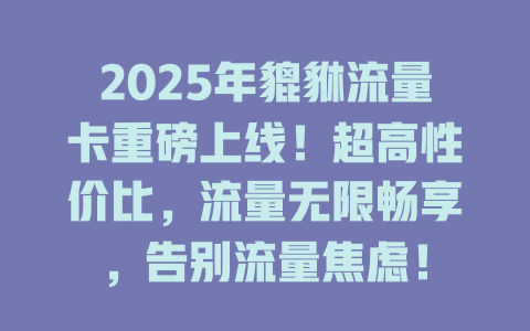 2025年貔貅流量卡重磅上线！超高性价比，流量无限畅享，告别流量焦虑！