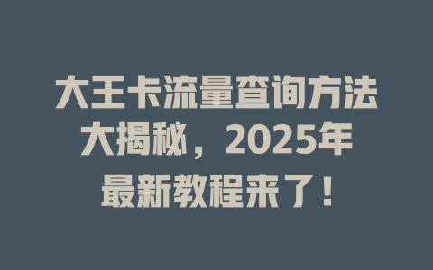大王卡流量查询方法大揭秘，2025年最新教程来了！