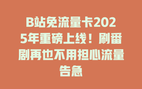 B站免流量卡2025年重磅上线！刷番剧再也不用担心流量告急