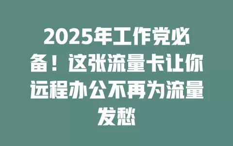2025年工作党必备！这张流量卡让你远程办公不再为流量发愁
