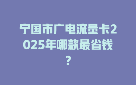 宁国市广电流量卡2025年哪款最省钱？