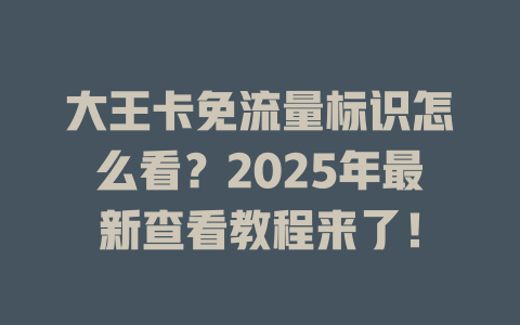 大王卡免流量标识怎么看？2025年最新查看教程来了！