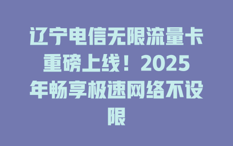 辽宁电信无限流量卡重磅上线！2025年畅享极速网络不设限