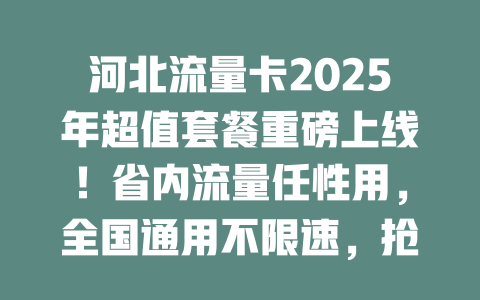 河北流量卡2025年超值套餐重磅上线！省内流量任性用，全国通用不限速，抢到就是赚到！