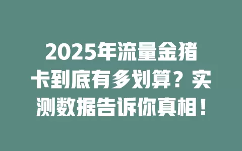 2025年流量金猪卡到底有多划算？实测数据告诉你真相！