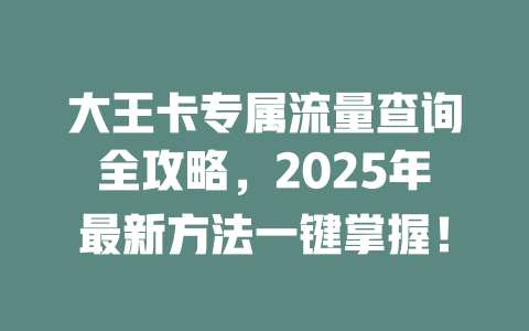 大王卡专属流量查询全攻略，2025年最新方法一键掌握！
