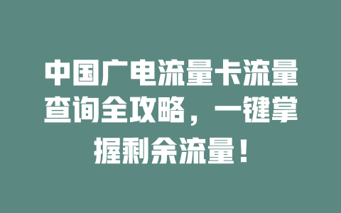 中国广电流量卡流量查询全攻略，一键掌握剩余流量！