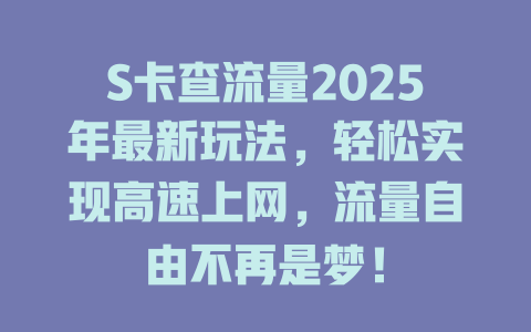S卡查流量2025年最新玩法，轻松实现高速上网，流量自由不再是梦！