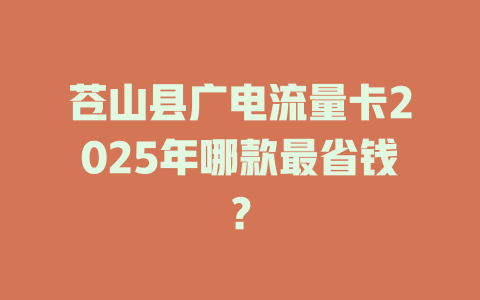 苍山县广电流量卡2025年哪款最省钱？