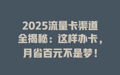 2025流量卡渠道全揭秘：这样办卡，月省百元不是梦！