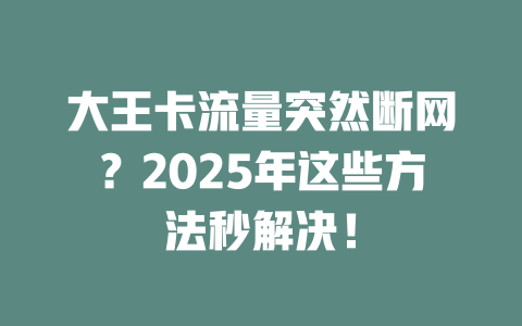 大王卡流量突然断网？2025年这些方法秒解决！