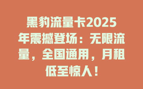黑豹流量卡2025年震撼登场：无限流量，全国通用，月租低至惊人！