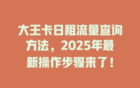 大王卡日租流量查询方法，2025年最新操作步骤来了！