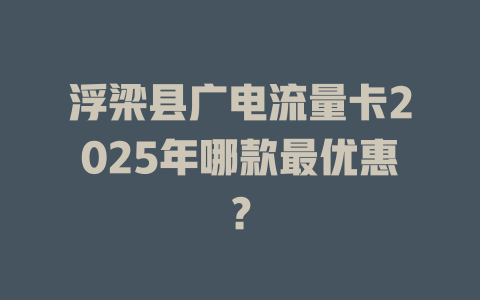 浮梁县广电流量卡2025年哪款最优惠？
