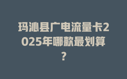 玛沁县广电流量卡2025年哪款最划算？