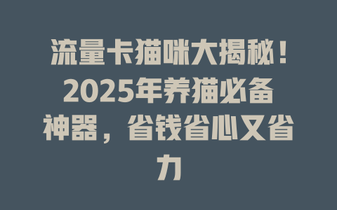 流量卡猫咪大揭秘！2025年养猫必备神器，省钱省心又省力