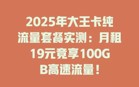 2025年大王卡纯流量套餐实测：月租19元竟享100GB高速流量！