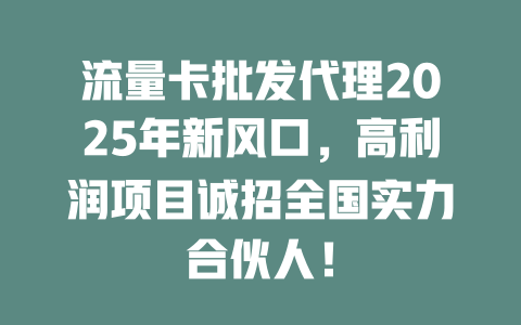 流量卡批发代理2025年新风口，高利润项目诚招全国实力合伙人！