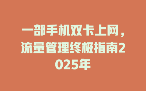 一部手机双卡上网，流量管理终极指南2025年