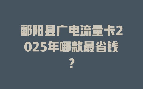 鄱阳县广电流量卡2025年哪款最省钱？