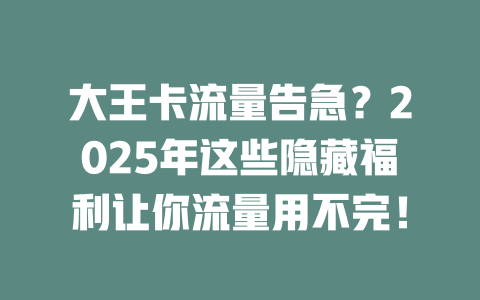 大王卡流量告急？2025年这些隐藏福利让你流量用不完！