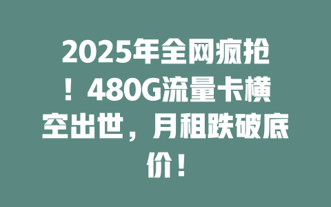 2025年全网疯抢！480G流量卡横空出世，月租跌破底价！