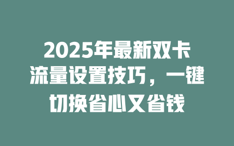2025年最新双卡流量设置技巧，一键切换省心又省钱