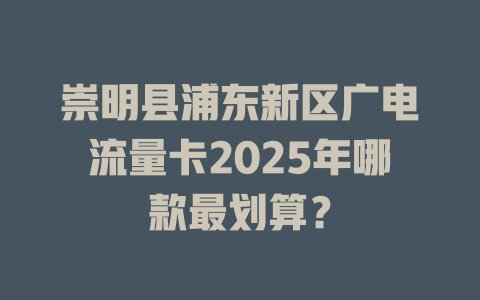 崇明县浦东新区广电流量卡2025年哪款最划算？
