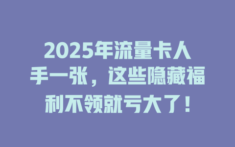 2025年流量卡人手一张，这些隐藏福利不领就亏大了！