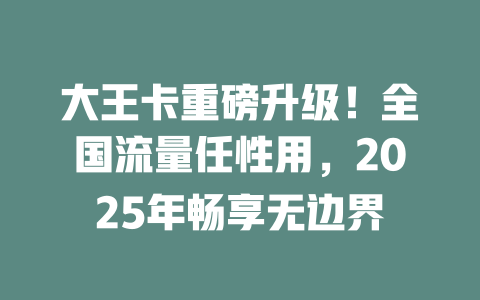 大王卡重磅升级！全国流量任性用，2025年畅享无边界