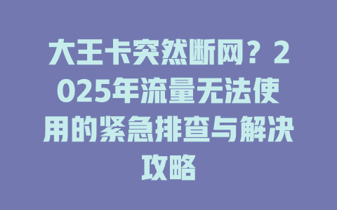 大王卡突然断网？2025年流量无法使用的紧急排查与解决攻略