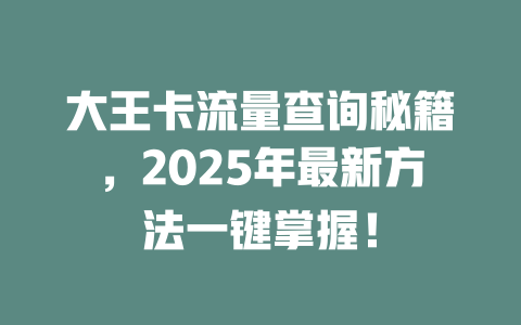 大王卡流量查询秘籍，2025年最新方法一键掌握！