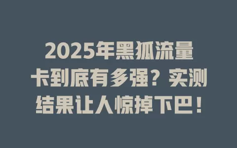2025年黑狐流量卡到底有多强？实测结果让人惊掉下巴！