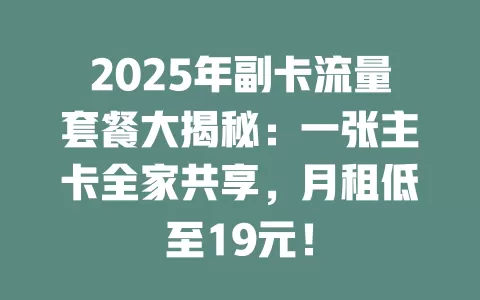 2025年副卡流量套餐大揭秘：一张主卡全家共享，月租低至19元！