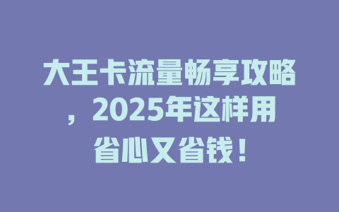 大王卡流量畅享攻略，2025年这样用省心又省钱！