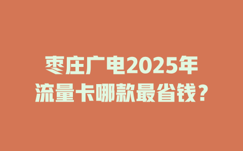 枣庄广电2025年流量卡哪款最省钱？