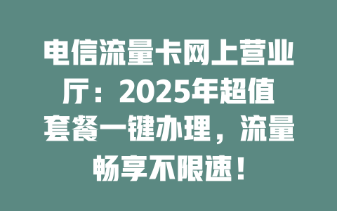 电信流量卡网上营业厅：2025年超值套餐一键办理，流量畅享不限速！