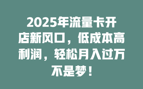 2025年流量卡开店新风口，低成本高利润，轻松月入过万不是梦！