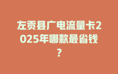 左贡县广电流量卡2025年哪款最省钱？